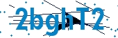 recaptcha