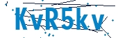 recaptcha